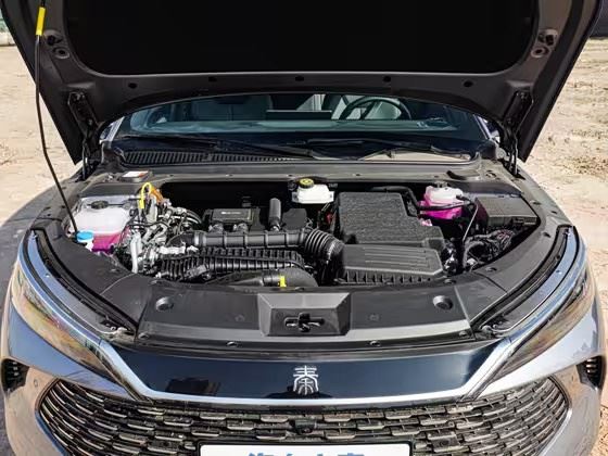 Qin L 2025 DM-i 80KM Leading Model best
